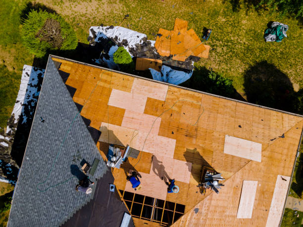 Best Roof Maintenance Services  in Oakridge, OR